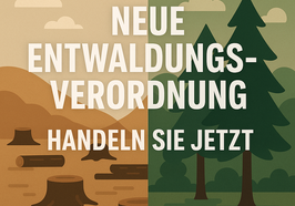 Titelbild Entwaldungsverordnung. Abbildung: Mit ChatGPT generiertes KI-Bild