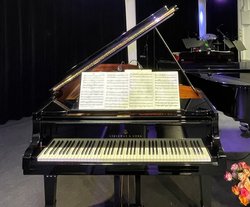 Hatte beim Einweihungskonzert am 9. November seinen großen Auftritt: der frisch restaurierte Steinway-Flügel der Musikschule. Foto: Stadt Oldenburg Hatte beim Einweihungskonzert am 9. November seinen großen Auftritt: der frisch restaurierte Steinway-Flügel der Musikschule. Foto: Stadt Oldenburg