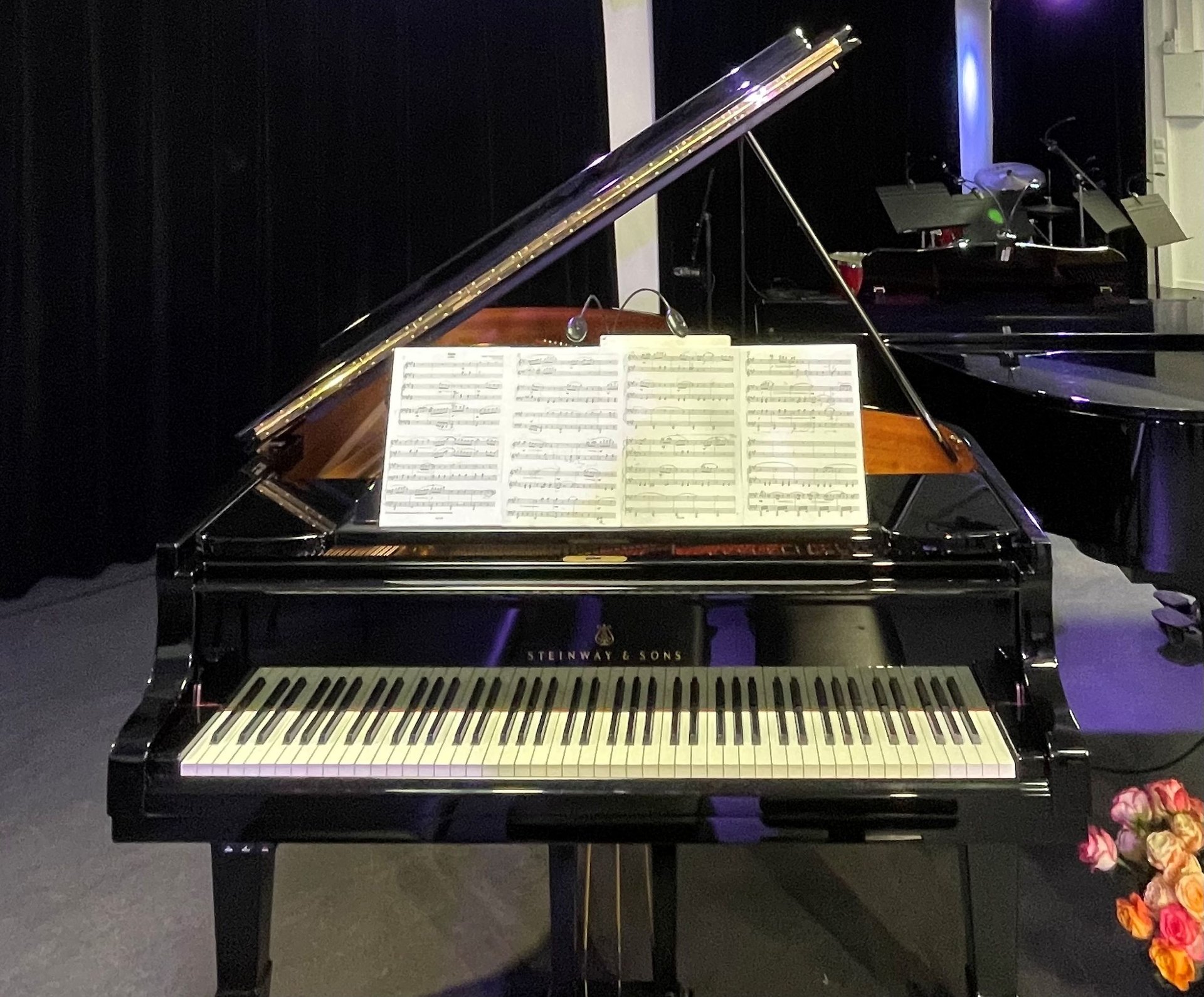 Hatte beim Einweihungskonzert am 9. November seinen großen Auftritt: der frisch restaurierte Steinway-Flügel der Musikschule. Foto: Stadt Oldenburg