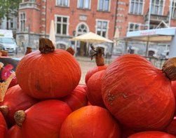 Herbst-Gold auf dem Oldenburger Rathausmarkt: Kürbisse am Marktstand. Foto: Stadt Oldenburg