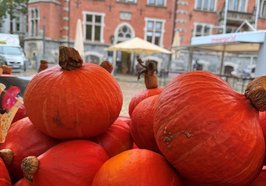 Herbst-Gold auf dem Oldenburger Rathausmarkt: Kürbisse am Marktstand. Foto: Stadt Oldenburg