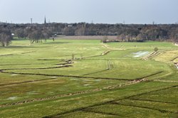 Das Naturschutzgebiet Bornhorster Huntewiesen im Frühling. Foto: Hans-Jürgen Zietz