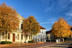 Goldener Oktober am Pferdemarkt