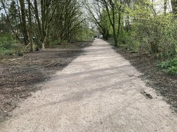 Fuß- und Radweg im Sanierungsgebiet Käthe-Kollwitz-Straße/Hoffkamp nachher. Foto: Stadt Oldenburg