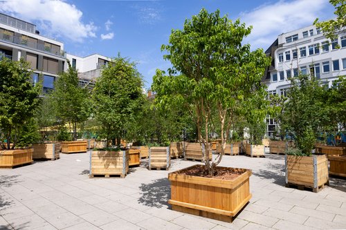 Im Mai sorgten die „Wanderbäume“ auf dem Waffenplatz für mehr Grün. Nach dem Ende der Stadtgärten findet der mobile Stadtwald nun auf dem Bahnhofsvorplatz einen neuen Standort. Foto: Thomas Hellmann Im Mai sorgten die „Wanderbäume“ auf dem Waffenplatz für mehr Grün. Nach dem Ende der Stadtgärten findet der mobile Stadtwald nun auf dem Bahnhofsvorplatz einen neuen Standort. Foto: Thomas Hellmann