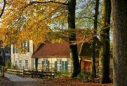 Herbstfärbung im Eversten Holz in Oldenburg. Foto: Hans-Jürgen Zietz