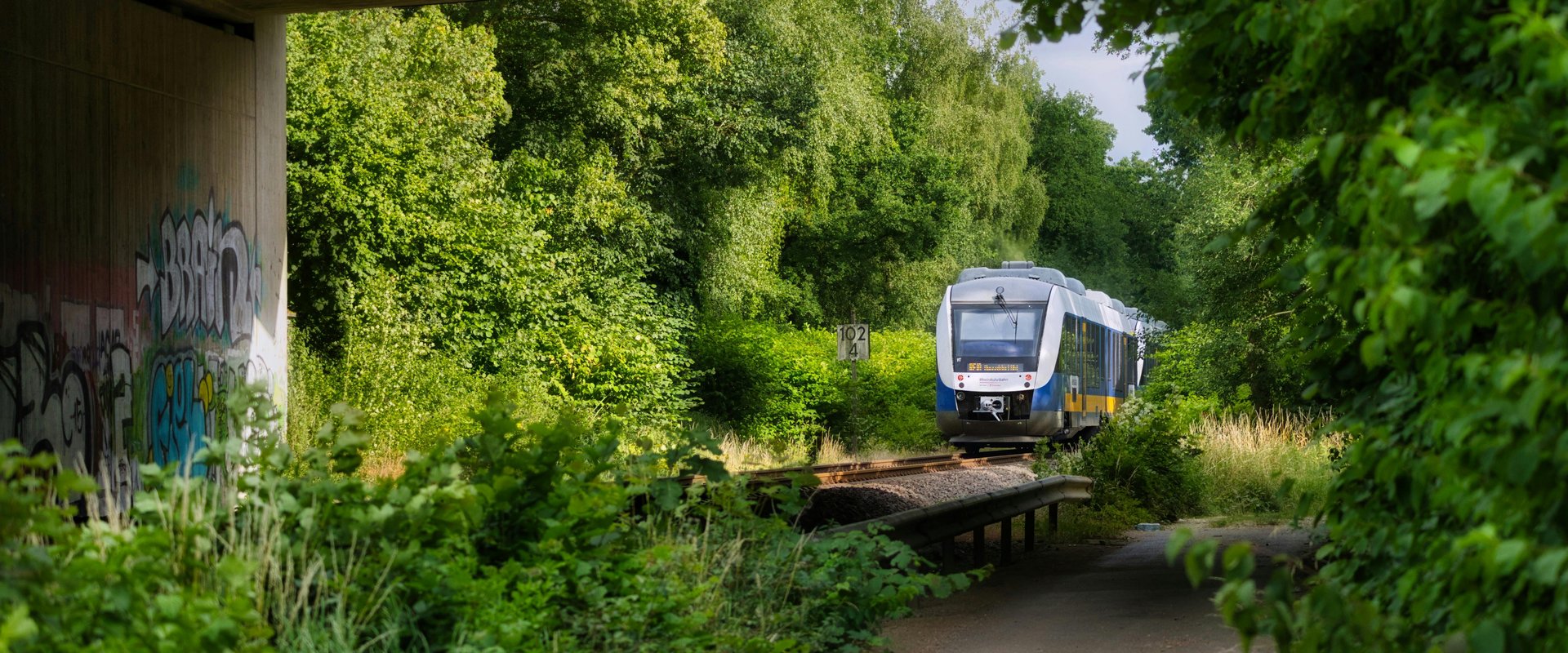 Nordwestbahn fährt durch grüne Landschaft. Foto: Wolfgang Vrede/Pexels