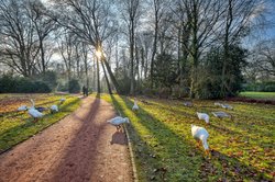 Sonniger Februarnachmittag im Oldenburger Schlossgarten. Foto: Hans-Jürgen Zietz