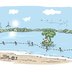 Vorschau: Person mit Wasserspielzeug in Palmenform im Bornhorster See. Illustration: Hannes Mercker