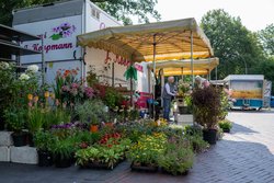 Blick über den Wochenmarkt in Eversten. Foto: Sascha Stüber