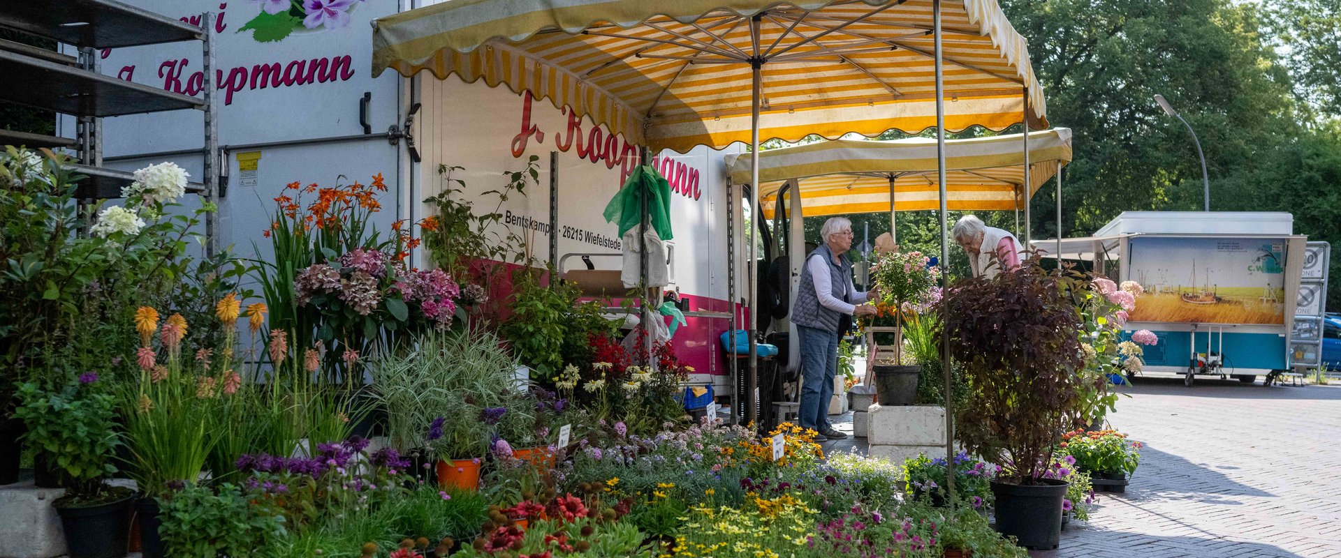Blick über den Wochenmarkt Eversten. Foto: Sascha Stüber