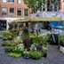 Vorschau: Der Blumenstand am Alten Rathaus auf dem Wochenmarkt auf dem Rathausmarkt. Foto: Sascha Stüber