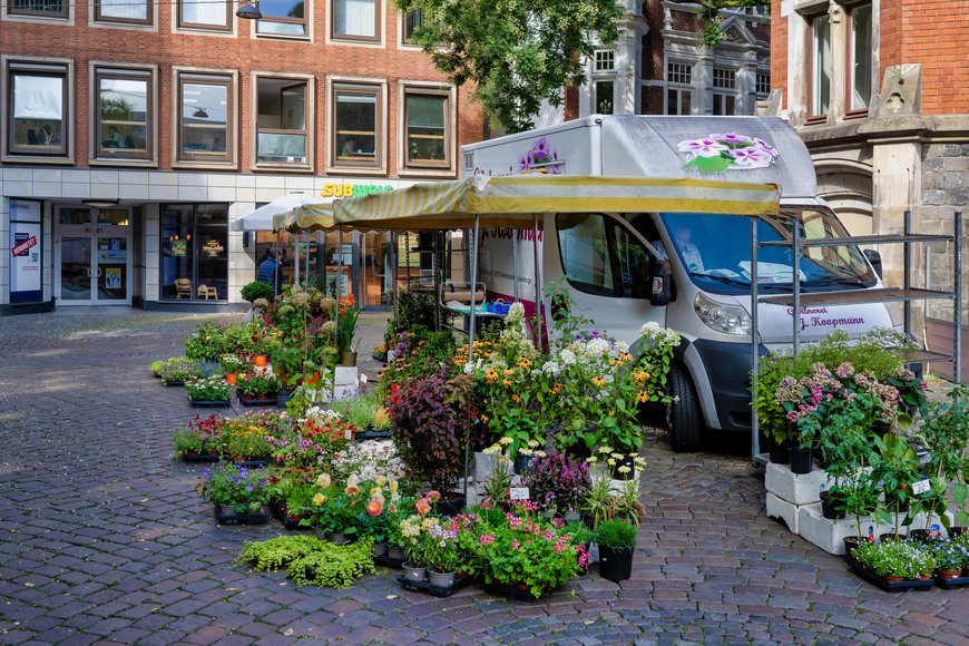 Der Blumenstand am Alten Rathaus auf dem Wochenmarkt auf dem Rathausmarkt. Foto: Sascha Stüber
