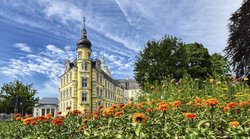 Blühende Tagetes vor dem Schloss. Foto: Hans-Jürgen Zietz