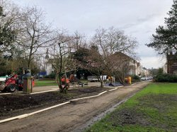 Pflanz- und Sanierungsarbeiten am Cäcilienplatz Ende Februar. Foto: Stadt Oldenburg