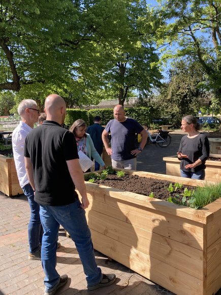 Eine Gruppe Menschen betrachtet die Hochbeete im Stadtgarten. Foto: Stadt Oldenburg