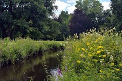 Bunte Sommer-Blüten im Oldenburger Schlossgarten. Foto: Hans-Jürgen Zietz 