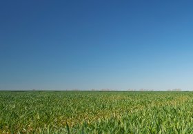 Weitflächige Wiese. Foto: Jenny Sturm/Fotolia Weitflächige Wiese. Foto: Jenny Sturm/Fotolia