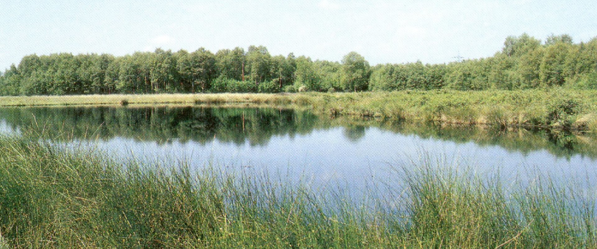 Blick auf das Wüschemeer. Foto: Stadt Oldenburg