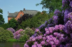Frühsommer im Oldenburger Schlossgarten. Foto: Hans-Jürgen Zietz