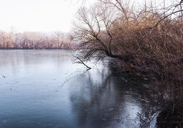 Zugefrorener See. Foto: Marcel/Pixabay