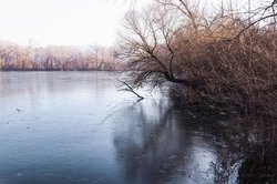 Zugefrorener See. Foto: Marcel/Pixabay