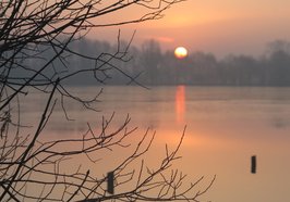 Sonnenaufgang Bornhorster See. Foto: Fuhltrott