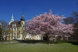 Das Oldenburger Schloss im Blütenschmuck. Foto: Hans-Jürgen Ziets