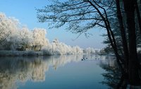 Wintermorgen in der Buschhagenniederung