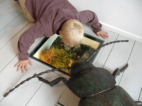 Ein Kind Auge in Auge mit einem übergroßen Käfermodell. Foto: Landesmuseum Natur und Mensch