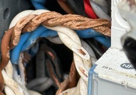 Deutlich zu sehen: Die Schäden an den angefressenen Kabeln im Inneren der Radzählsäule. Foto: Stadt Oldenburg