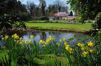 Frühlingsblüten im Schloßgarten. Foto: Hans-Jürgen Zietz.