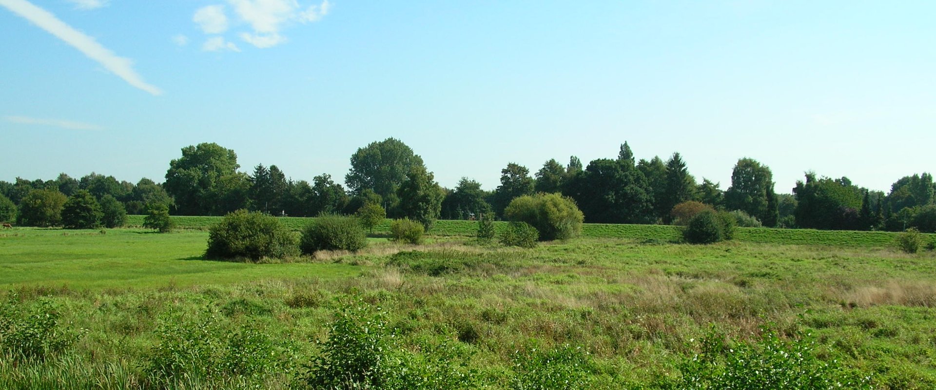 Buschhagenniederung. Foto: Stadt Oldenburg