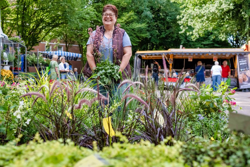 Blumen und Pflanzen auf dem Wochenmarkt in Bloherfelde. Foto: Sascha Stüber