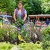 Vorschau: Blumen und Pflanzen auf dem Wochenmarkt in Bloherfelde. Foto: Sascha Stüber