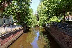 Natur in der Großstadt - Flusslauf am Julius-Mosen-Platz. Foto: Andreas Paul Kaklewski