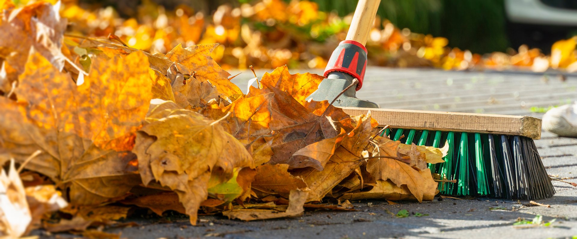 Besen fegt Laub zusammen. Foto: jozsitoeroe/AdobeStock
