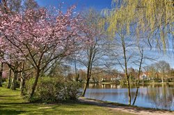 Frühling an den Dobbenteichen. Foto: Hans-Jürgen Zietz