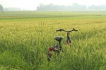 Fahrrad im Feld. Foto: Uschi Dreiucker/pixelio.de