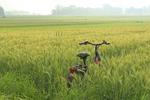 Fahrrad im Feld. Foto: Uschi Dreiucker/pixelio.de