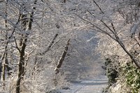 Die Ekernstraße. Foto: Werner Fuhlrott