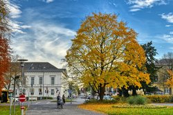 Bäume in Herbstfärbung in der Oldenburger Innenstadt. Foto: Hans-Jürgen Zietz