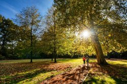 Oktober-Sonntag im Oldenburger Schlossgarten. Foto: Hans-Jürgen Zietz 