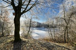 Wintertag am Bürgerfelder Teich in Oldenburg. Foto: Hans-Jürgen Zietz