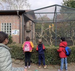  Vier Kinder schauen sich Vögel im Zoo an. Foto: Stadt Oldenburg