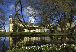 Anemonen am Schlossteich. Foto: Hans-Jürgen Zietz