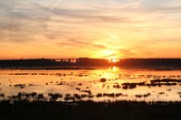 Hunte bei Klein Bornhorst (Februar 2008)