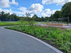 Sport- und Freizeitanlagen im Sportpark Kreyenbrück: Beet und Sitzpodest. Foto: PS+ Planung von Sportstätten