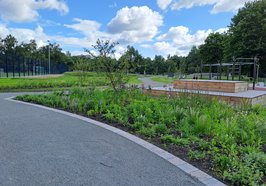 Sport- und Freizeitanlagen im Sportpark Kreyenbrück: Beet und Sitzpodest. Foto: PS+ Planung von Sportstätten