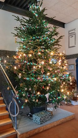Weihnachtsbaum. Foto: Stadt Oldenburg